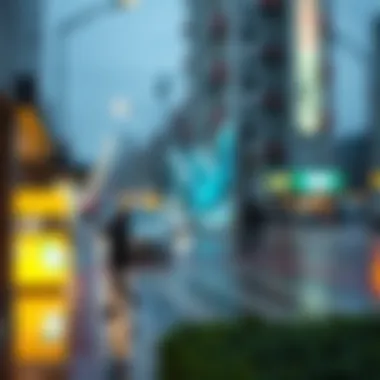 Rain probability graph for Gyeongju this week