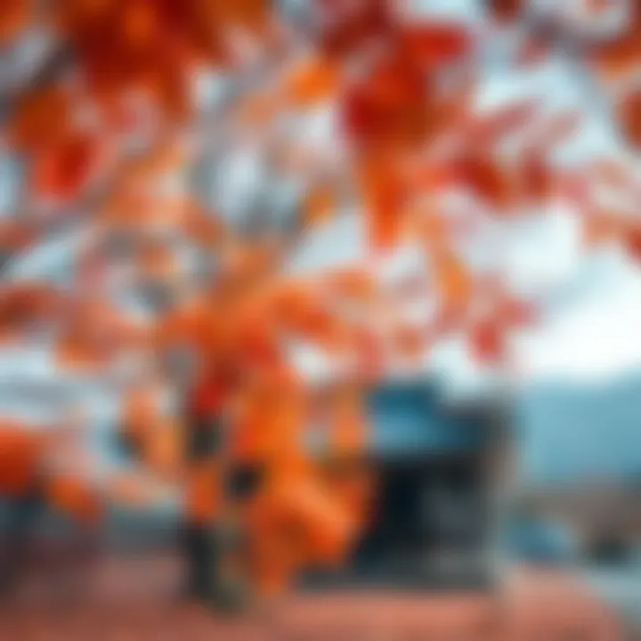 Gyeongju during autumn showcasing vibrant foliage