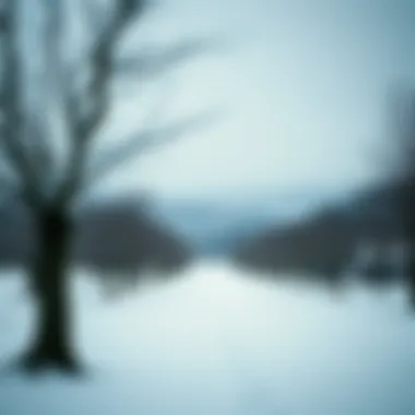 Gyeongju's serene landscape covered in winter snow
