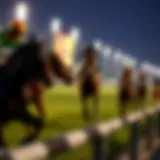 Detailed analysis of horse racing statistics