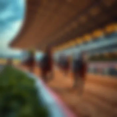 Modern racetrack illustrating the current state of horse racing in South Korea