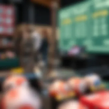 Mechanism of the lottery draw process