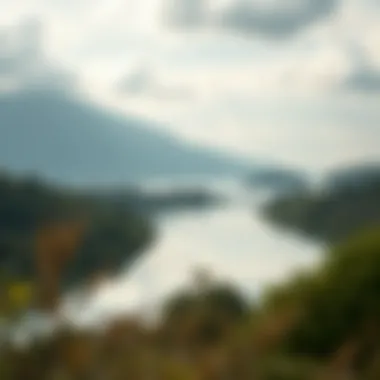 A serene landscape symbolizing new beginnings