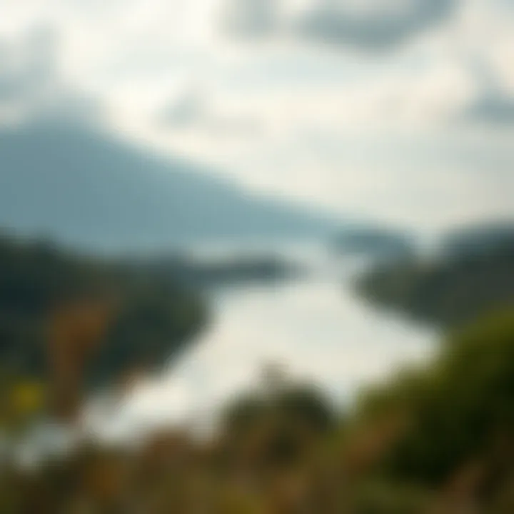 A serene landscape symbolizing new beginnings