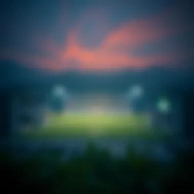 Historical timeline of 먹튀소 development