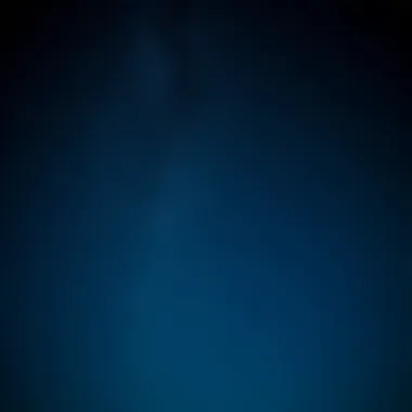 Night sky filled with stars and constellations