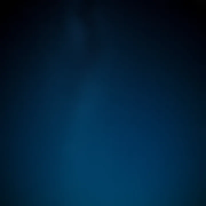 Night sky filled with stars and constellations