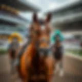 Thoroughbred racing at its finest