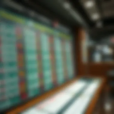 Understanding the Structure of a Betting Board Detailed layout of a betting board